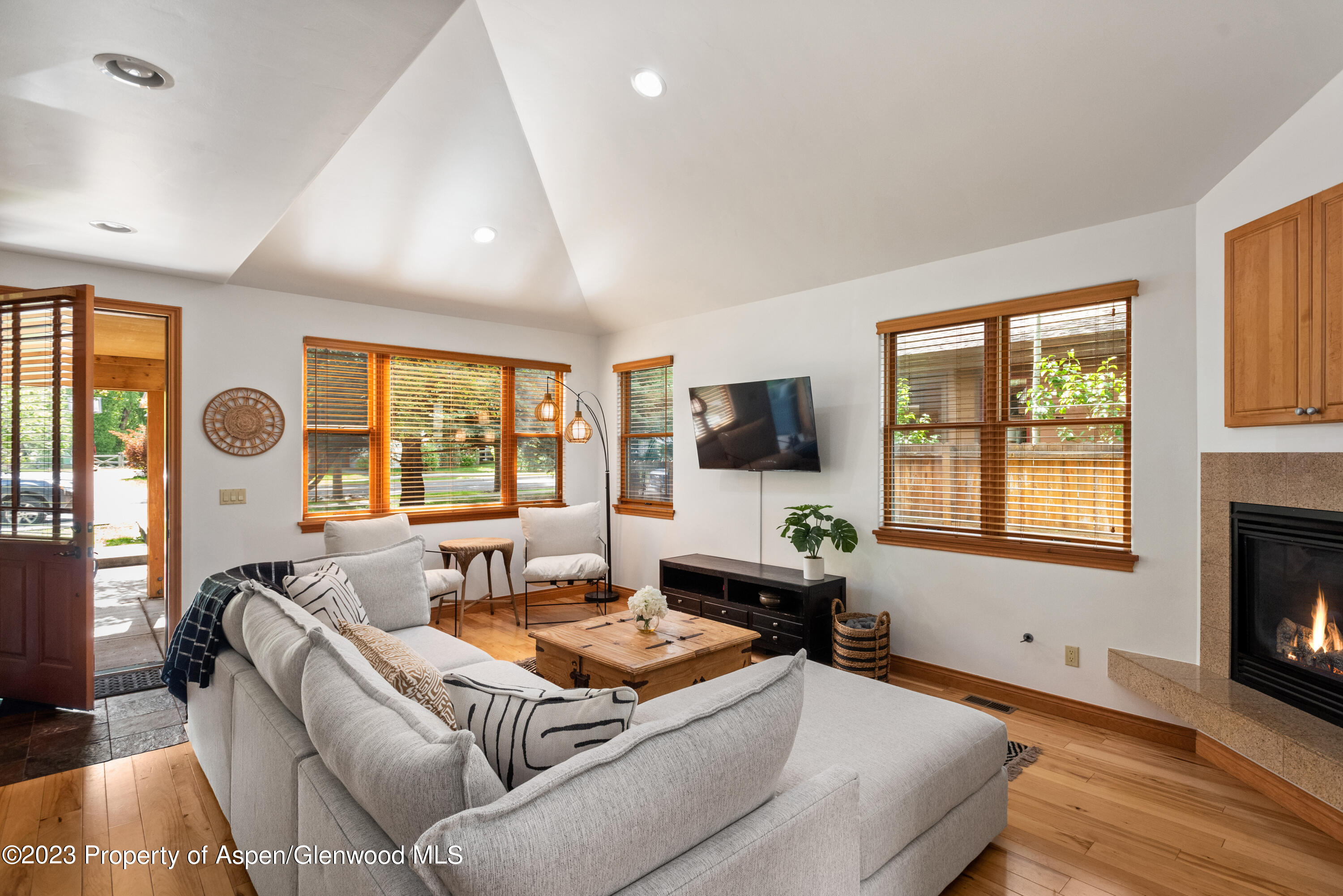 316 Allison Lane, Unit B Basalt, CO 81621 - Photo 5 of 26 a living room with furniture and a flat screen tv
