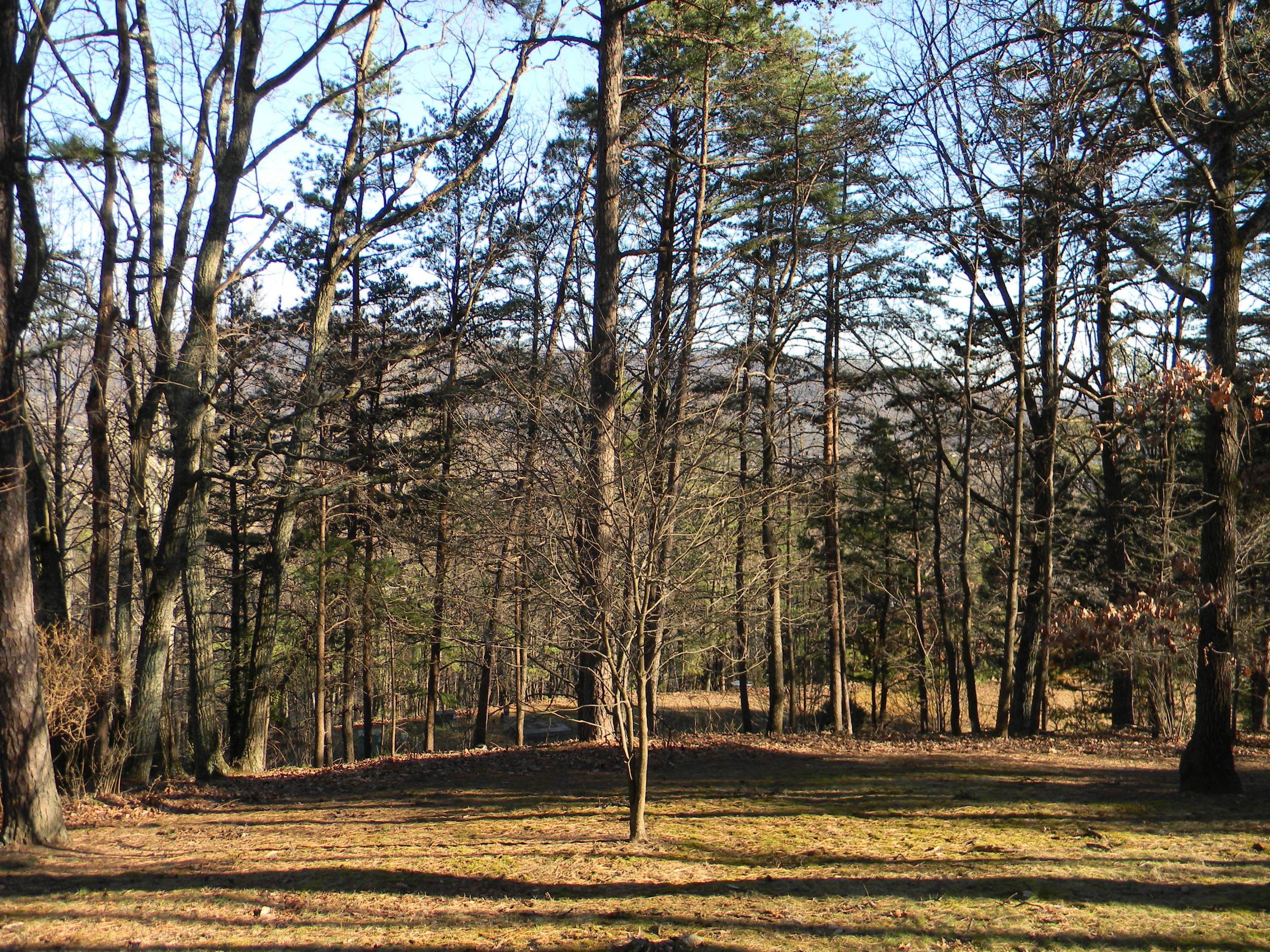 2512 Summit Ridge Road Northeast Roanoke, VA 24012 - Photo 11 of 13 View from Front Porch