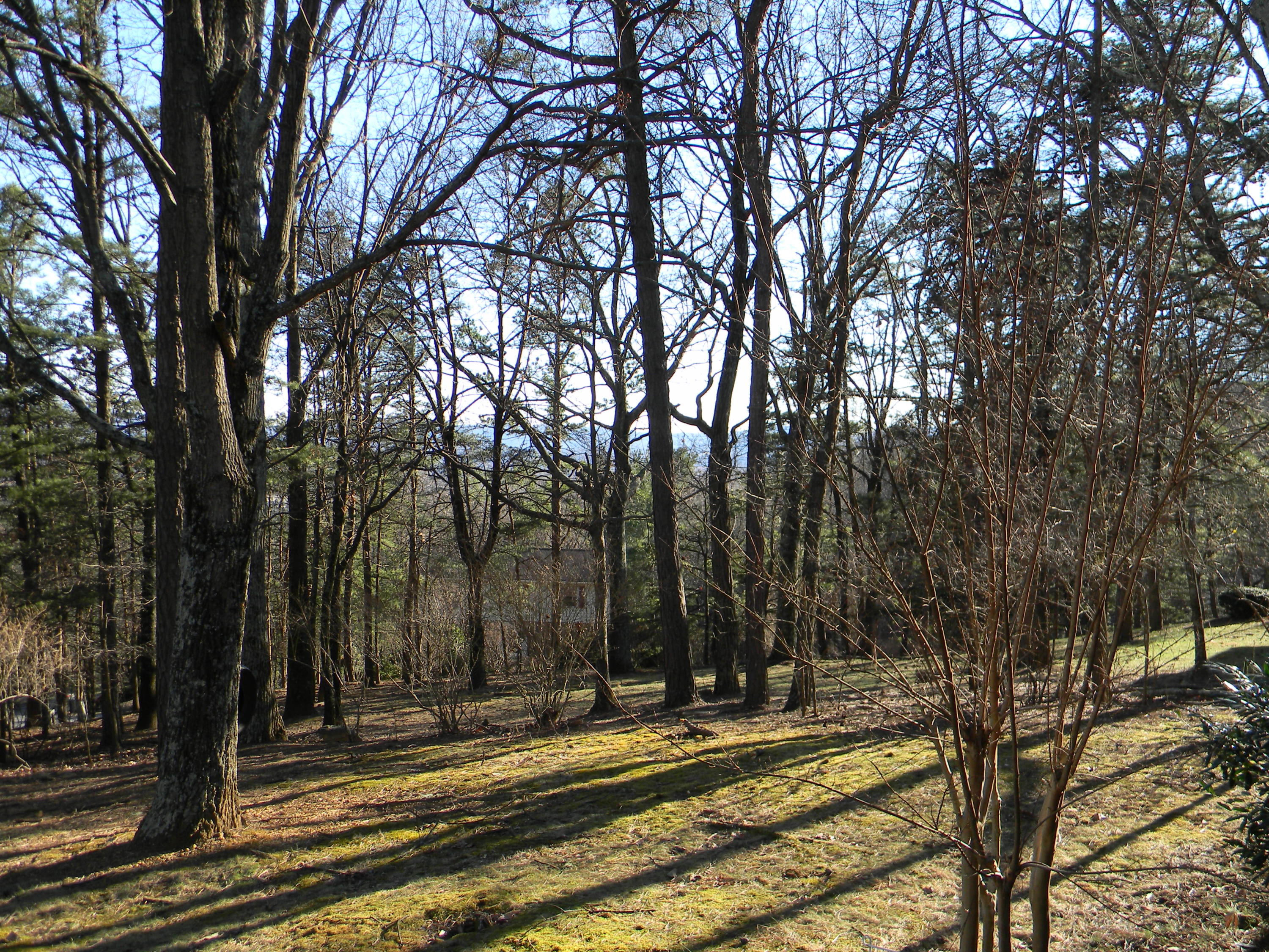 2512 Summit Ridge Road Northeast Roanoke, VA 24012 - Photo 12 of 13 View from Front Porch