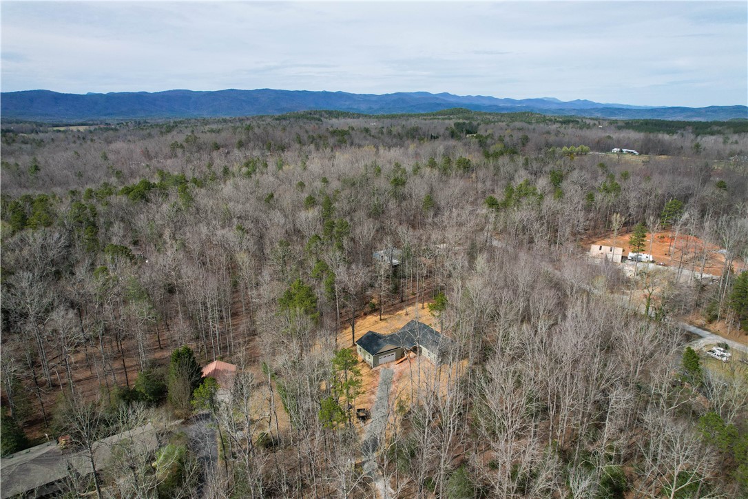 378 Dynamite Road Tamassee, SC 29686 - Photo 34 of 38 Gallery Image 34