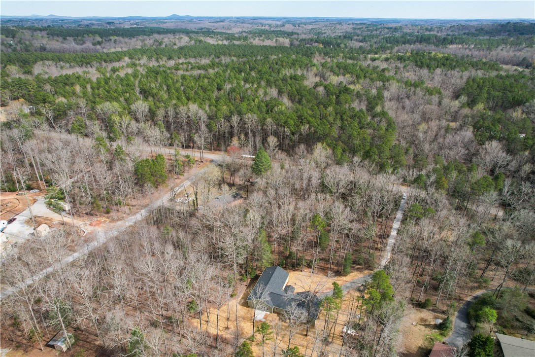 378 Dynamite Road Tamassee, SC 29686 - Photo 36 of 38 Gallery Image 36