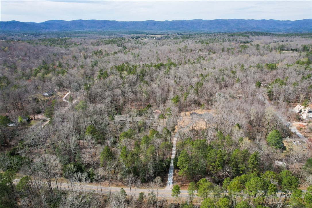 378 Dynamite Road Tamassee, SC 29686 - Photo 37 of 38 Gallery Image 37