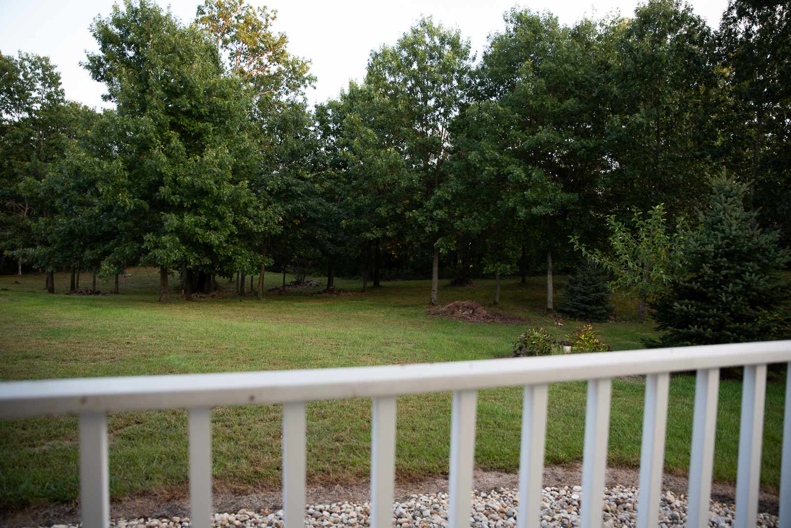 561 Scout Road Amboy, IL 61310 - Photo 43 of 47