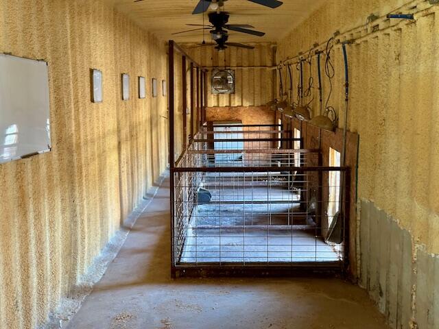9223 County Road 6700 Lubbock, TX 79403 - Photo 41 of 60 a view of entryway and hall with wooden floor