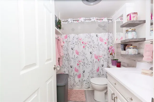 a bathroom with a sink toilet and shower curtain
