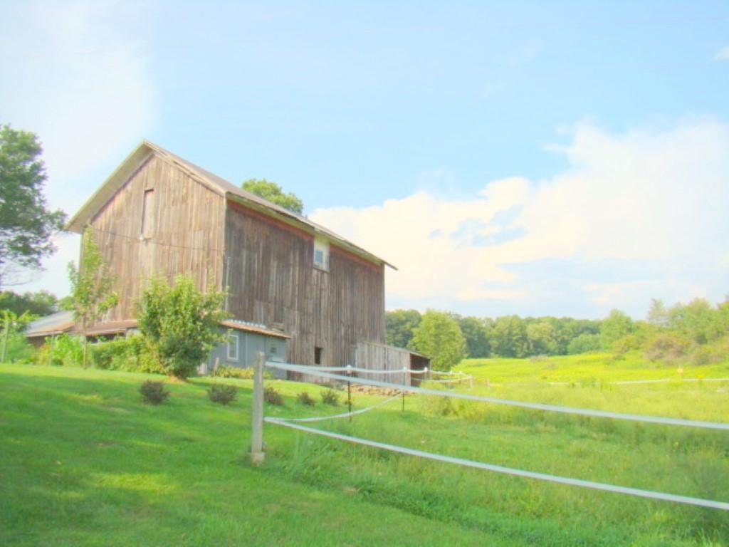428 Race Road Greene, NY 13778 - Photo 7 of 24 Gallery Image 7