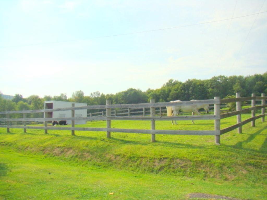 428 Race Road Greene, NY 13778 - Photo 9 of 24 Gallery Image 9