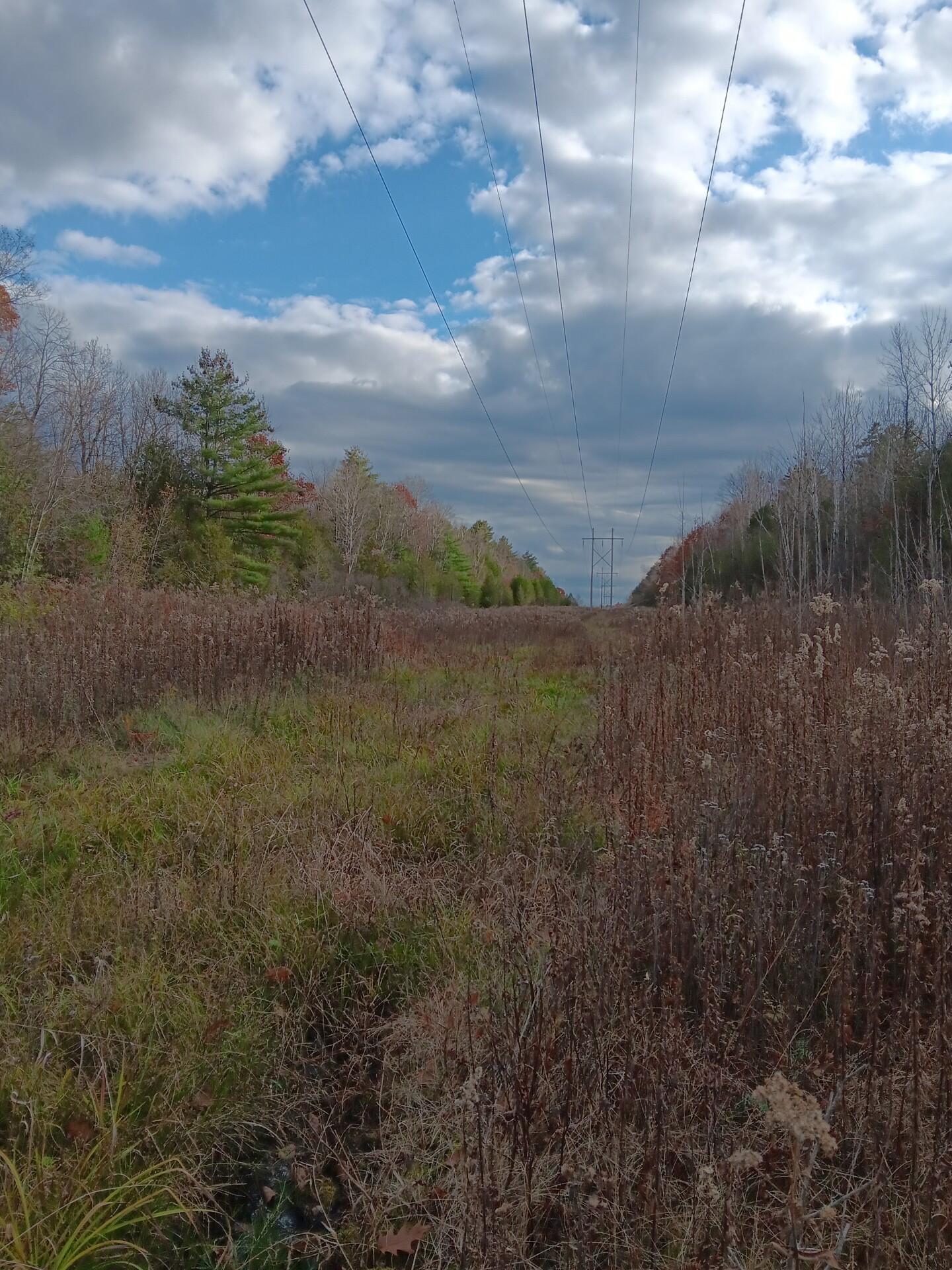 0 Durand Road Plattsburgh, NY 12901 - Photo 11 of 21