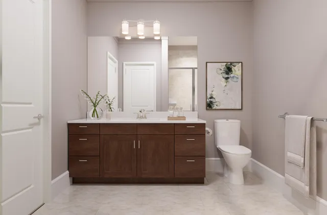 a bathroom with a sink vanity and a toilet