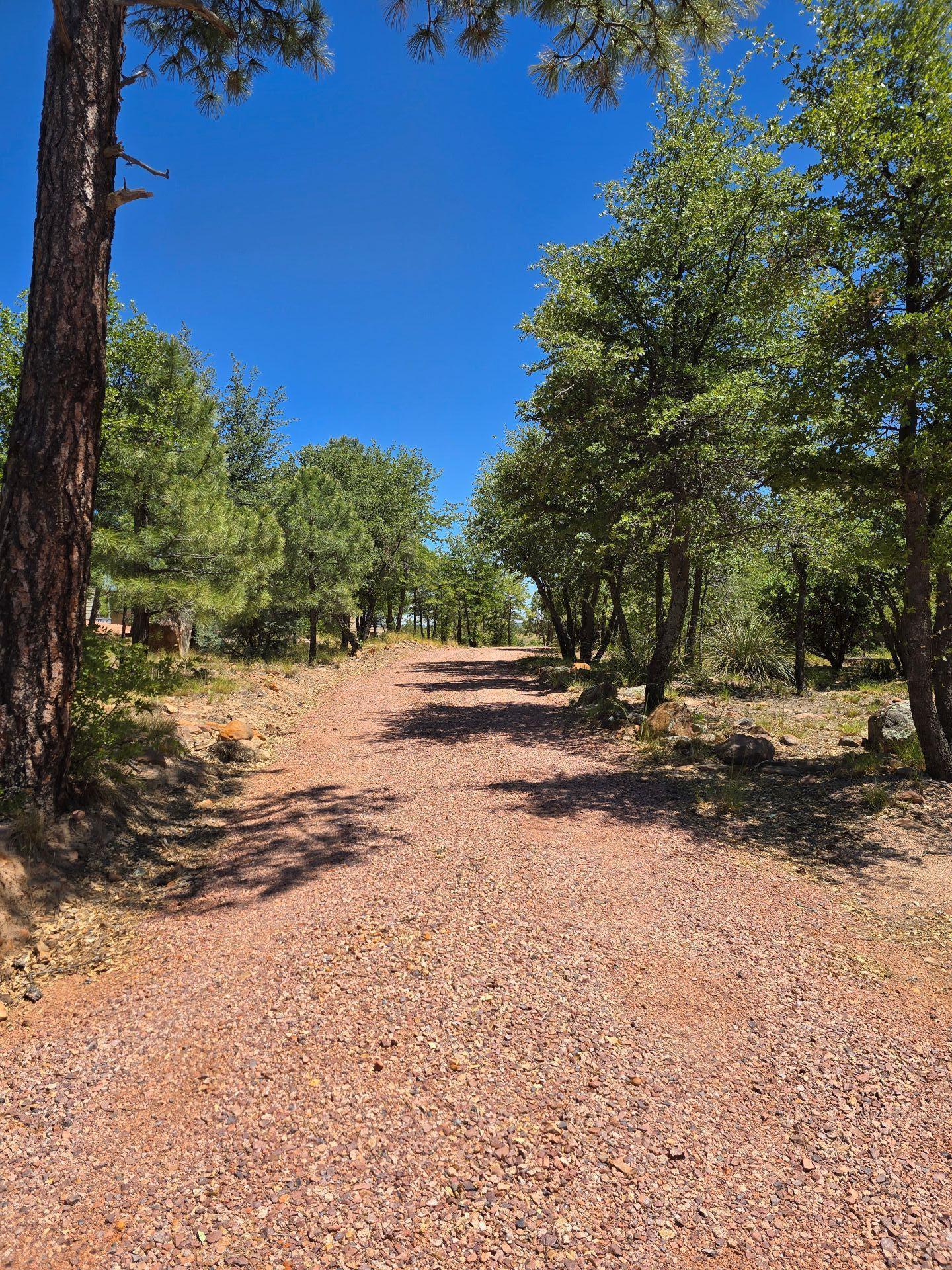 240 Rockinghorse Bend Road Payson, AZ 85541 - Photo 49 of 53 a view of a yard with a tree