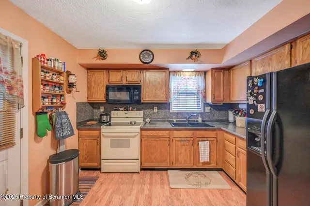 a view of a backyard with a tree