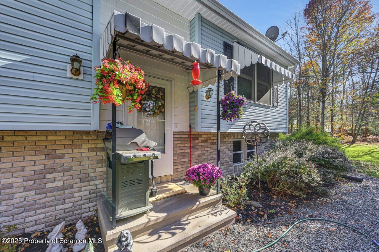 145 Tunnel Road Nicholson, PA 18446 - Photo 9 of 70 a bunch of flowers in front of the house