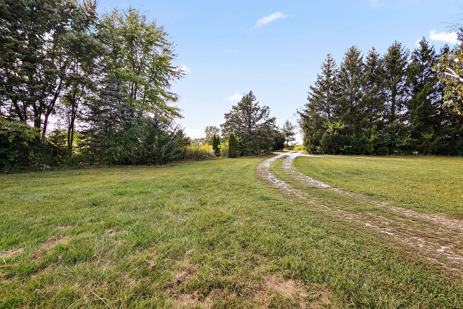 52 Highway 45 Sigel, IL 62462 - Photo 40 of 57 a view of a field with trees in the background