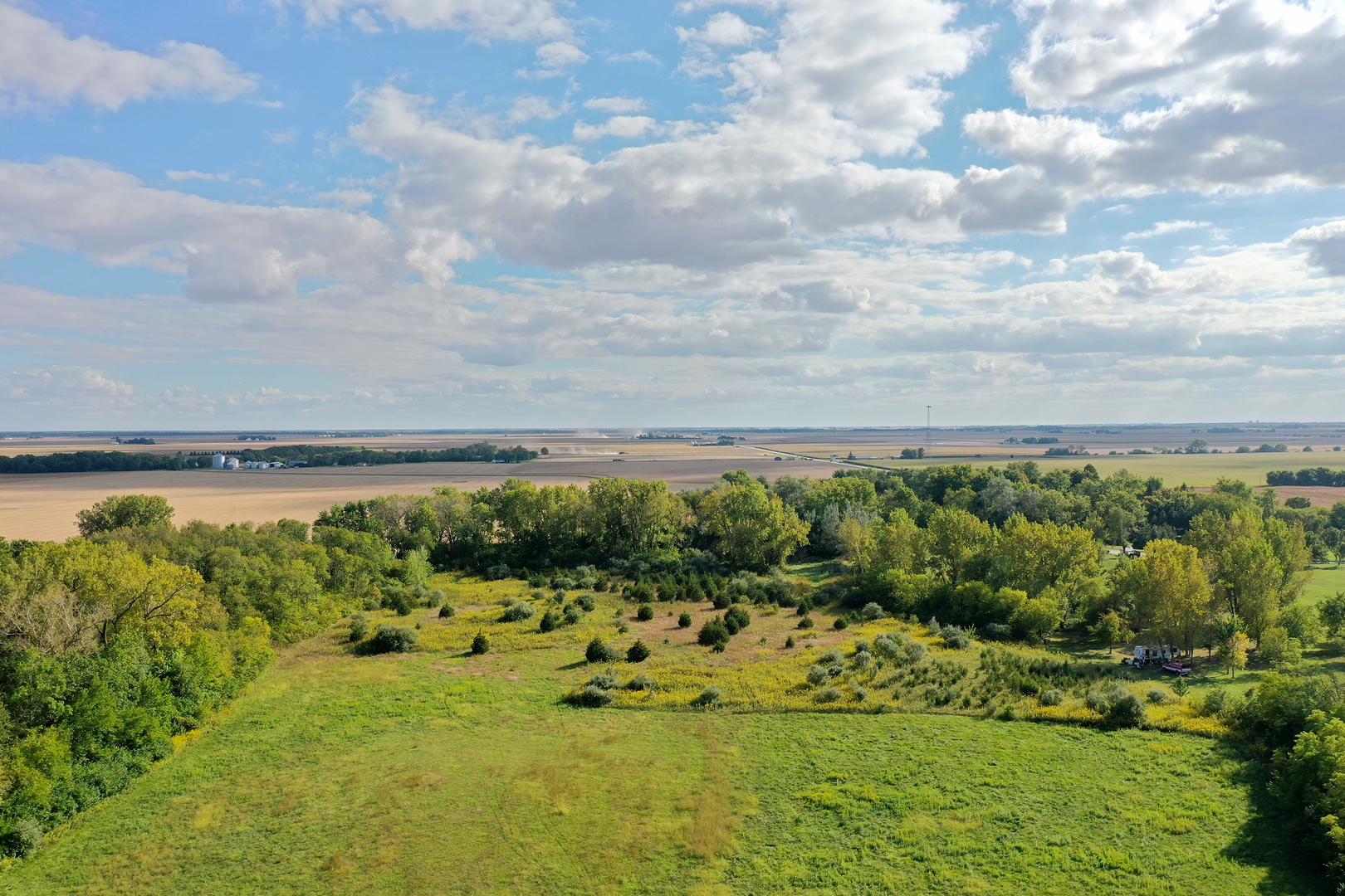 52 Highway 45 Sigel, IL 62462 - Photo 41 of 57