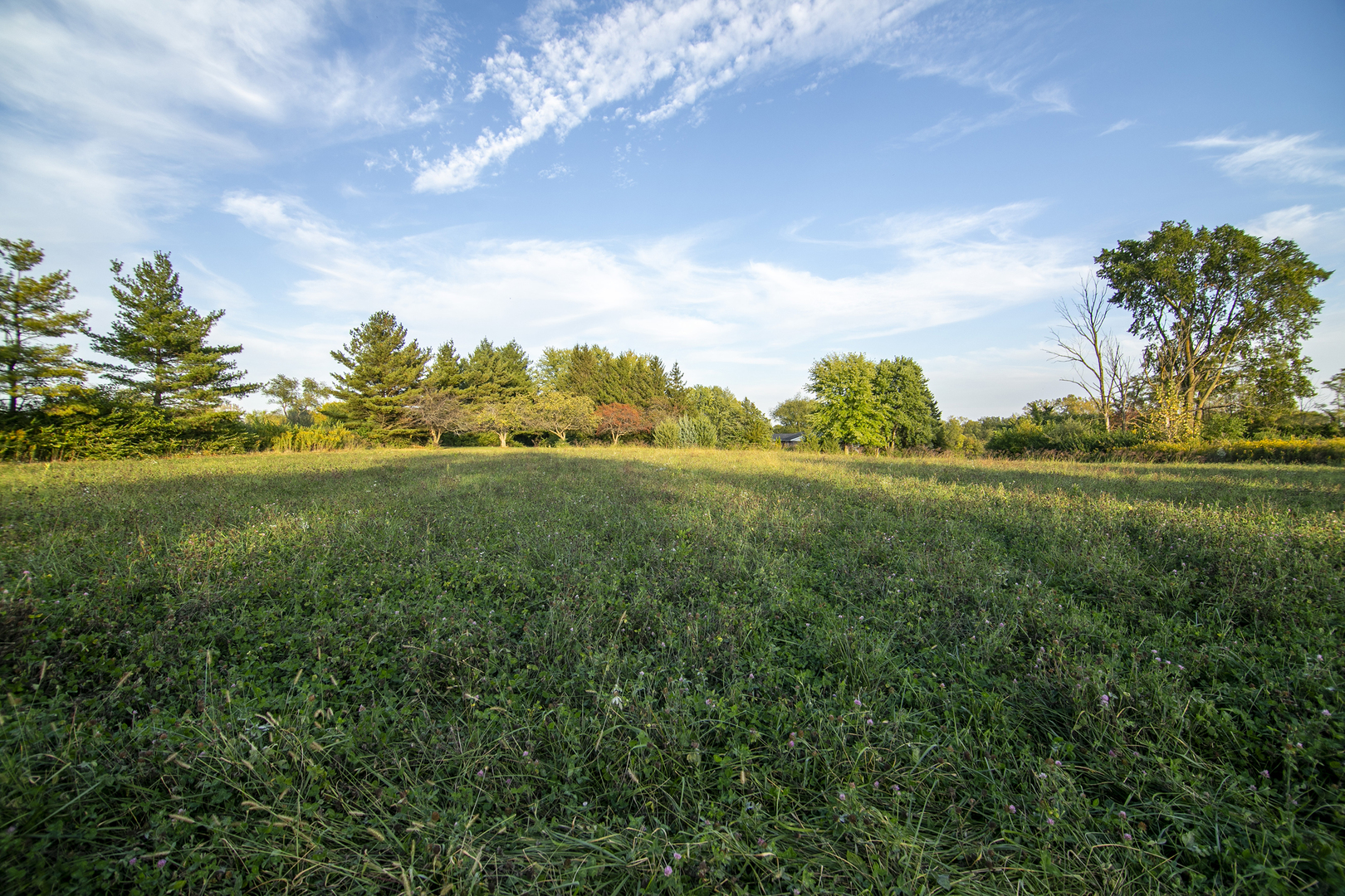 52 Highway 45 Sigel, IL 62462 - Photo 47 of 57 a view of an outdoor space and yard