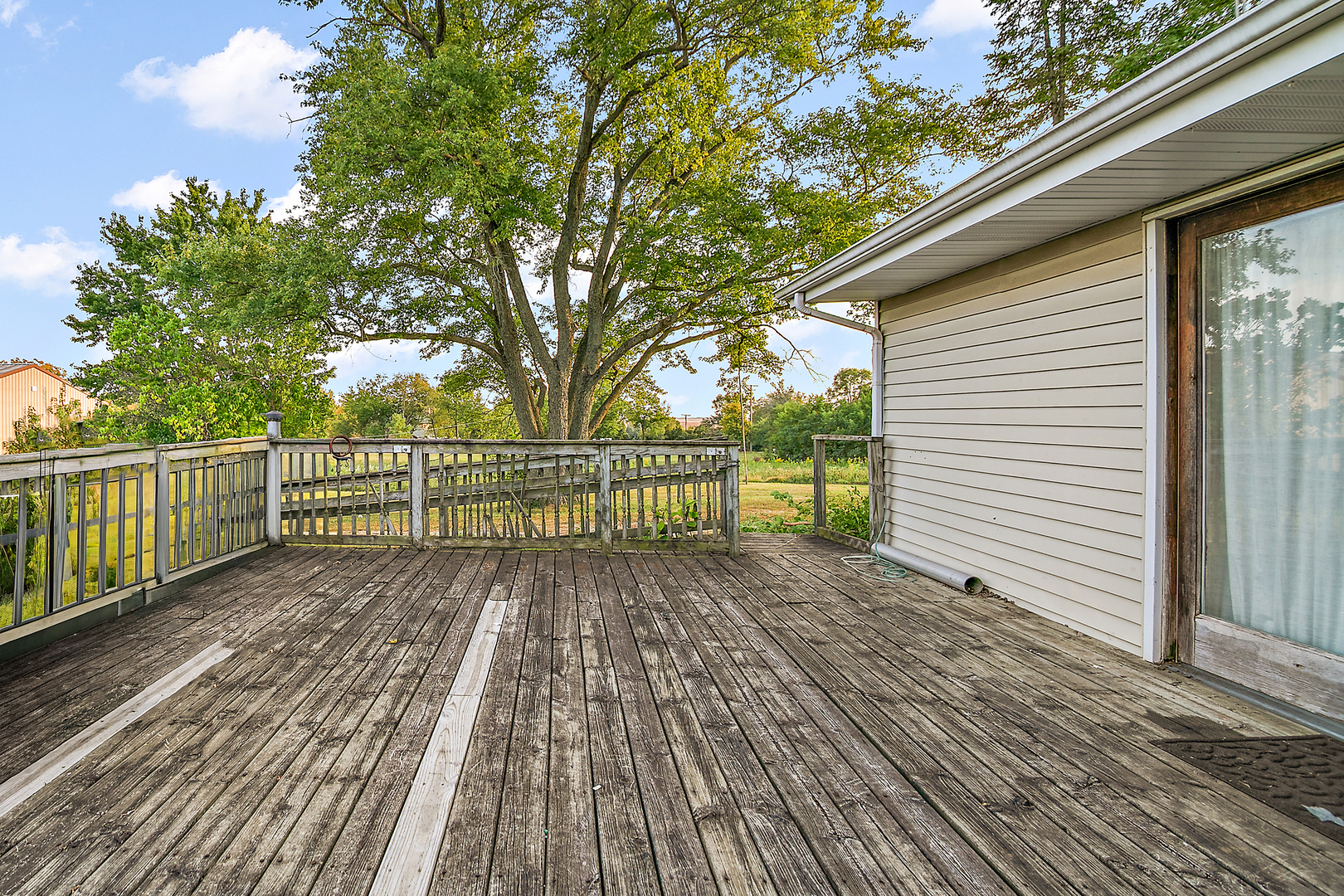 52 Highway 45 Sigel, IL 62462 - Photo 50 of 57 a view of a wooden floor with a trees