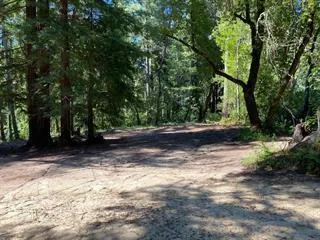 a view of outdoor space with trees