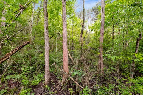 $899,900 | 0 Canterbury Trail, Mount Juliet, TN 37122