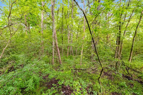 $899,900 | 0 Canterbury Trail, Mount Juliet, TN 37122