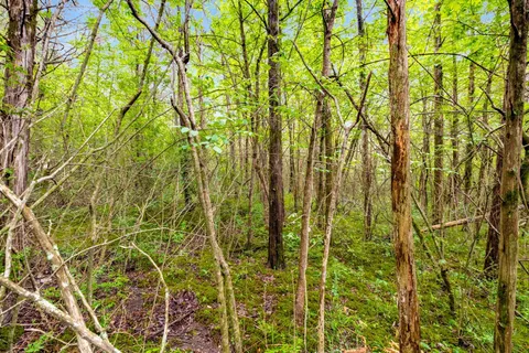 $899,900 | 0 Canterbury Trail, Mount Juliet, TN 37122