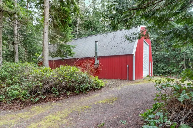 a view of a yard with plants and large trees
