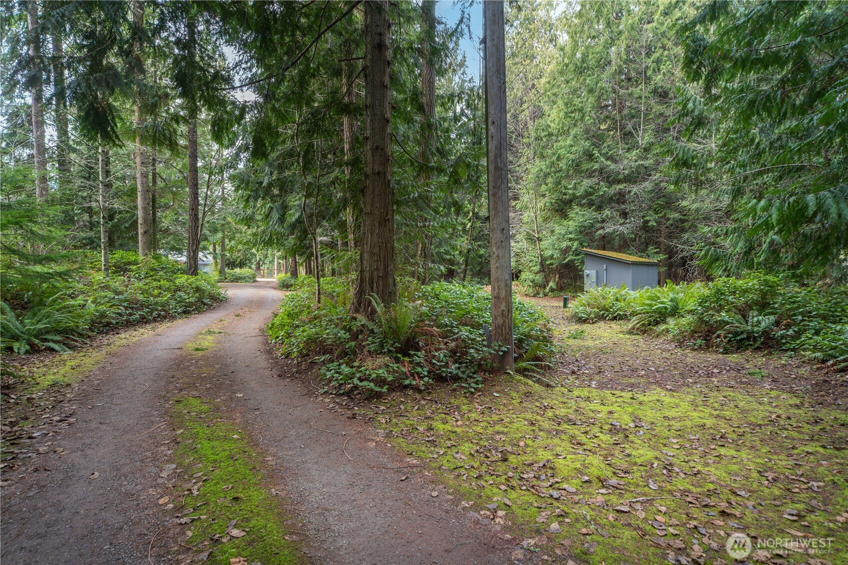 1914 South Discovery Road Port Townsend, WA 98368 - Photo 38 of 39 a view of a yard with plants and large trees