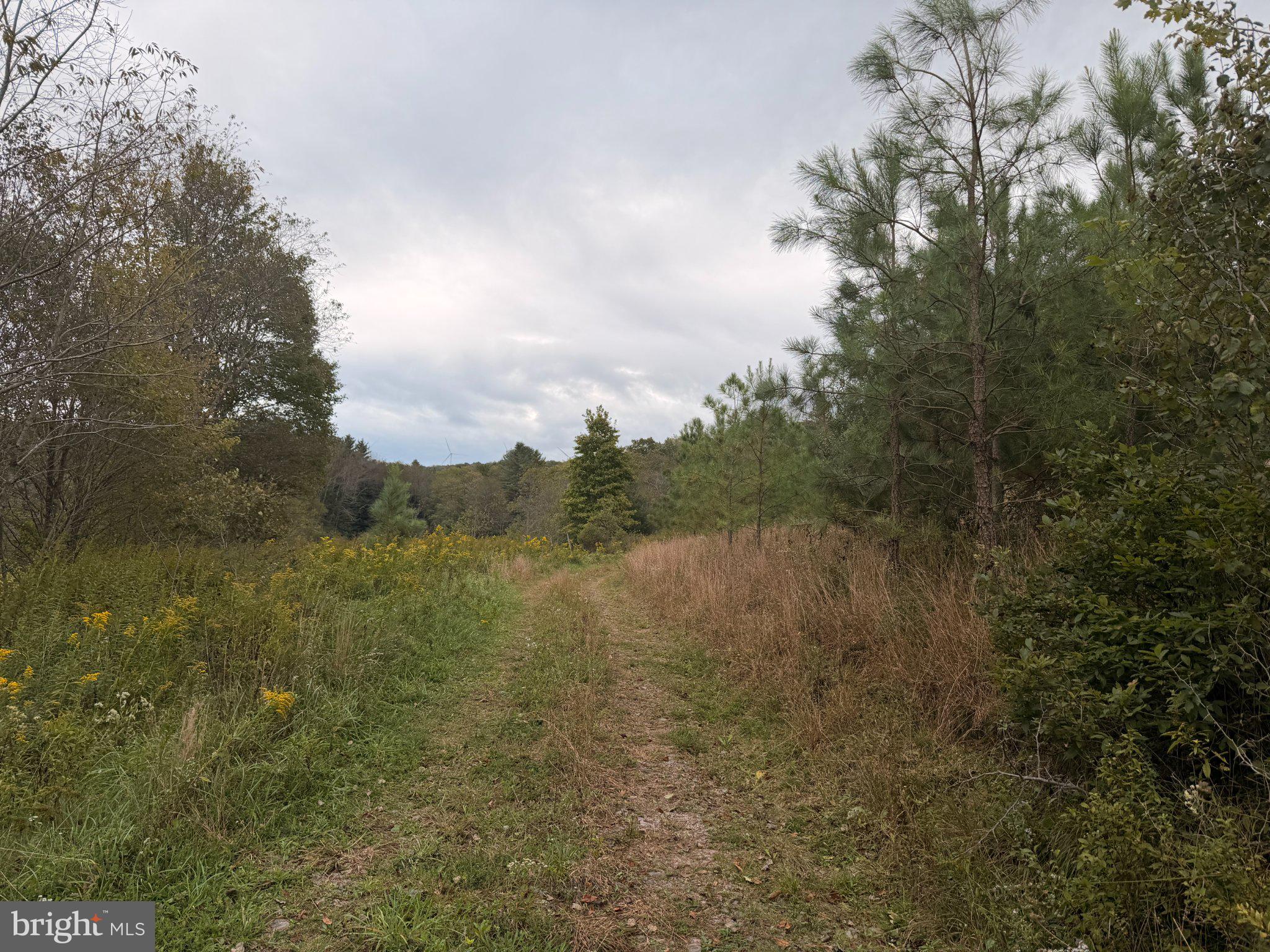 2504 Boiling Spring Road Deer Park, MD 21550 - Photo 55 of 67 Access from Calderwood Rd