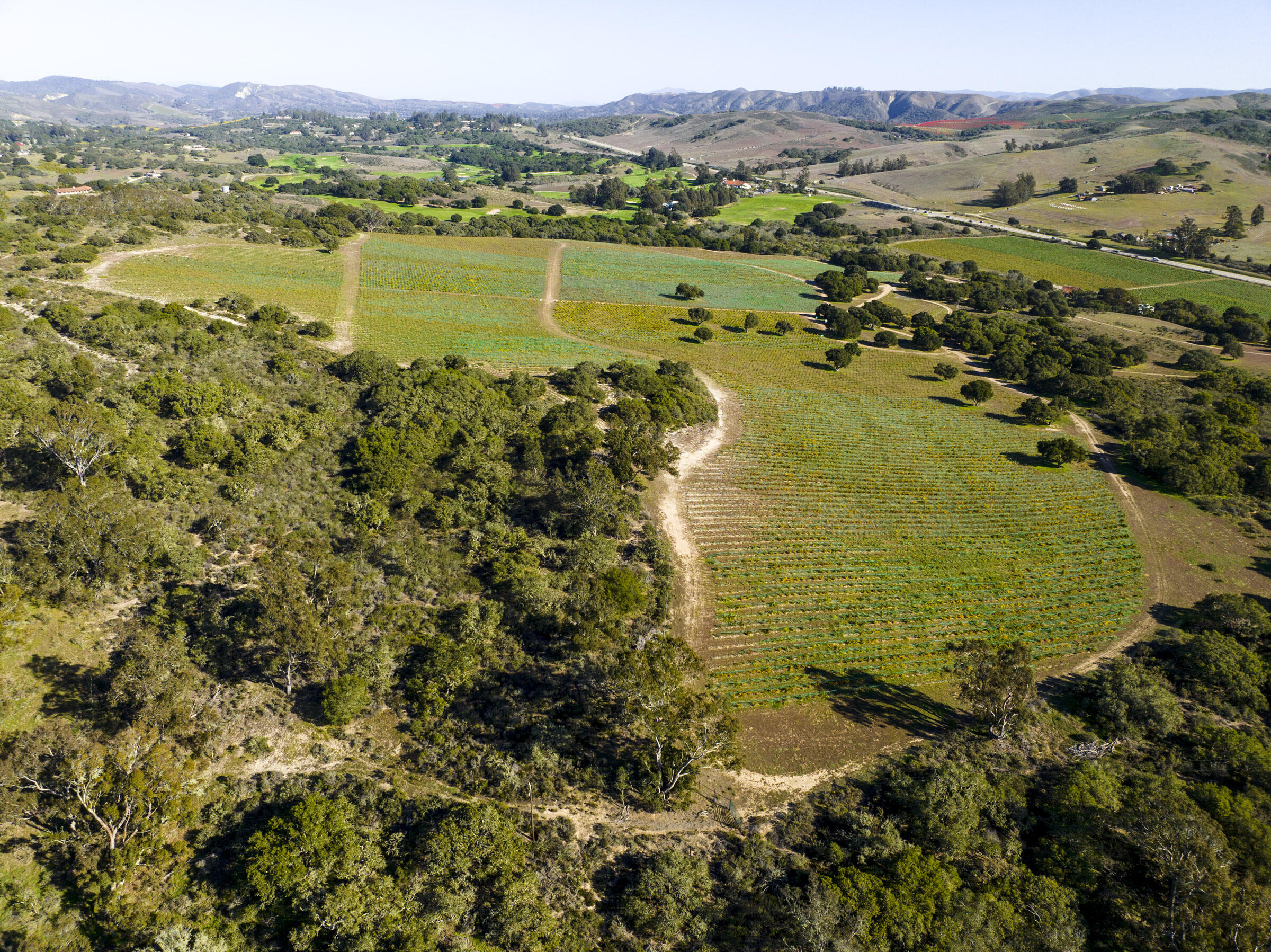 3145 Highway 246 Lompoc, CA 93436 - Photo 4 of 32 2755 Purisima Rd_0017