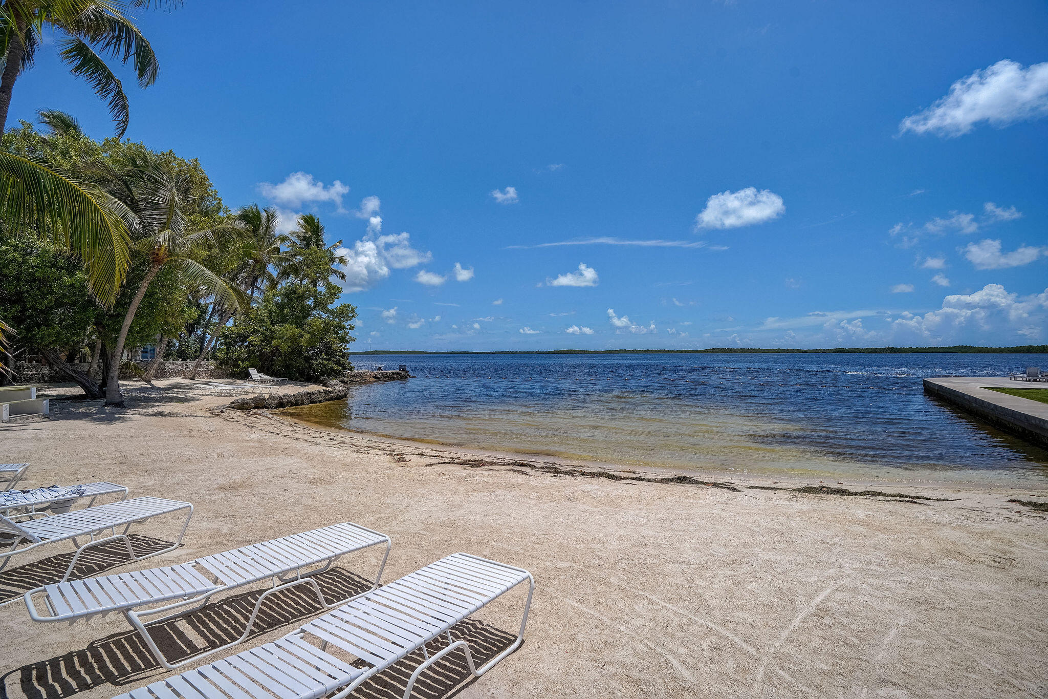 67 Jewfish Avenue Key Largo, FL 33037 - Photo 41 of 43 a view of a backyard