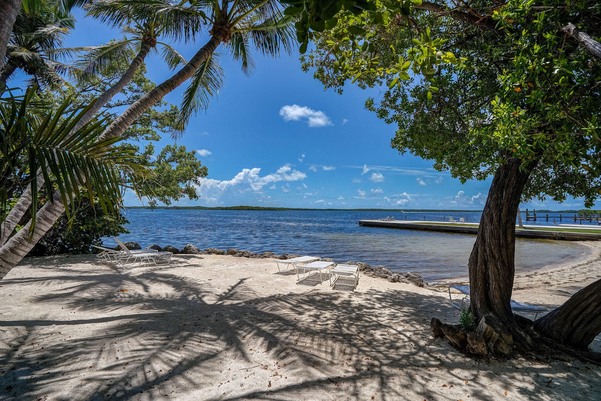 67 Jewfish Avenue Key Largo, FL 33037 - Photo 43 of 43 a view of a yard with a tree