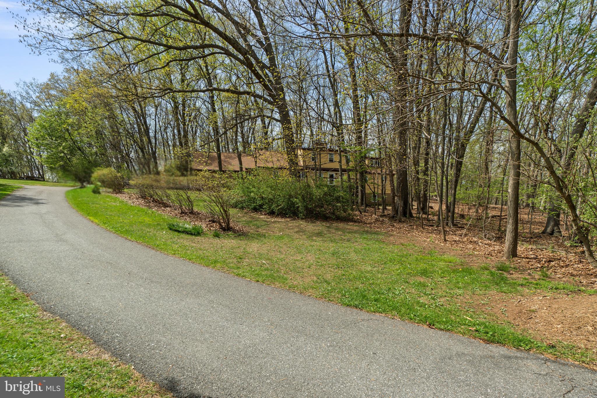 2062 Harvey Gummel Road Hampstead, MD 21074 - Photo 6 of 69 Blueberry Bushes coming up the driveway