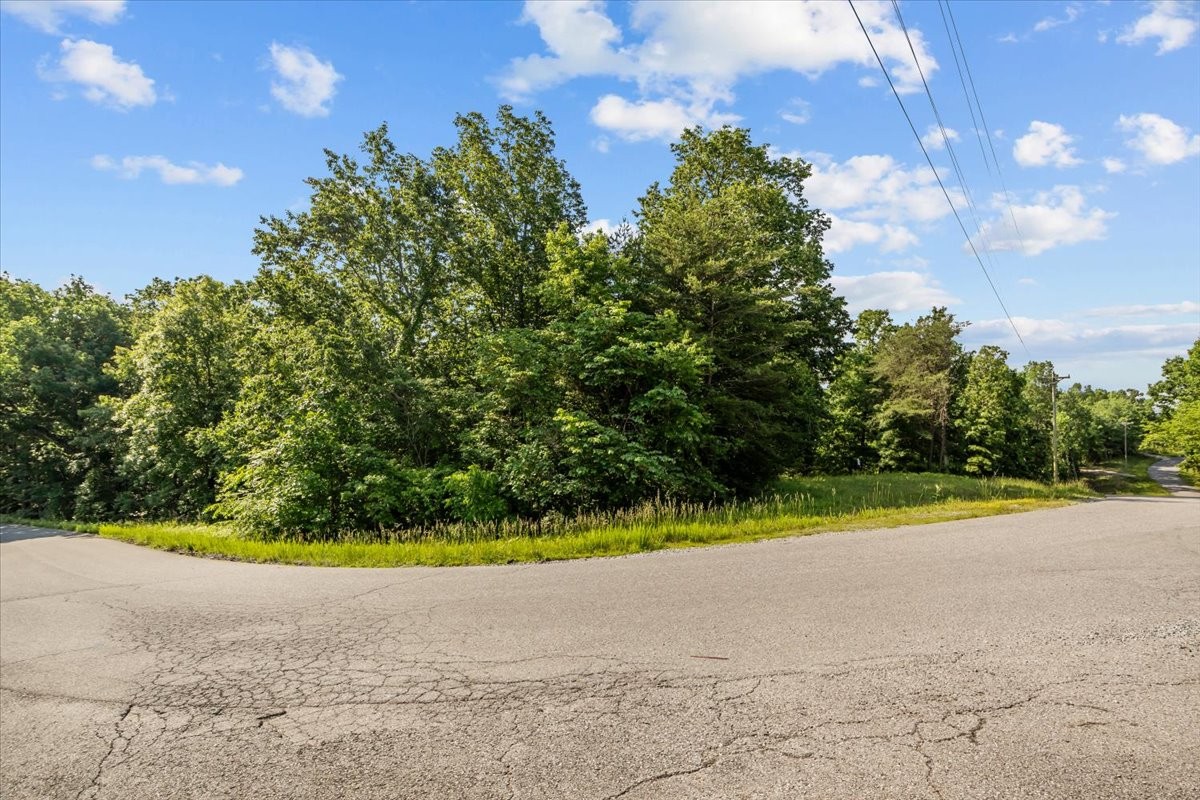 0 Highwater Road Waverly, TN 37185 - Photo 15 of 33 Gallery Image 15