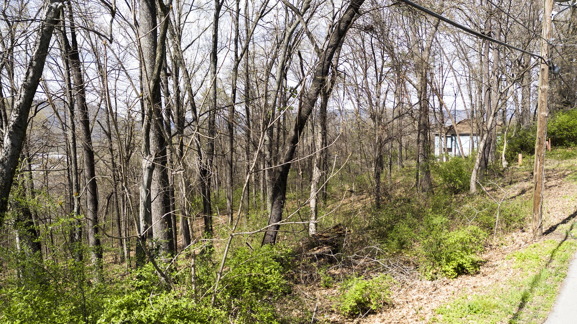 281 Whitehall Road Chattanooga, TN 37405 - Photo 12 of 17 Gallery Image 12