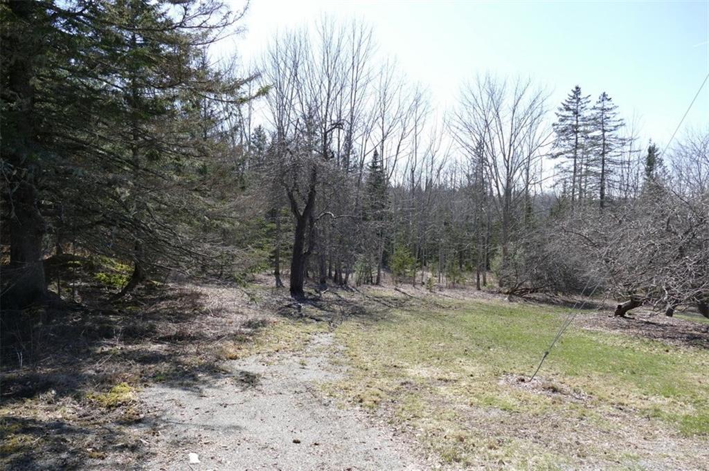 0 Foxfields Farm Road Bar Harbor, ME 04609 - Photo 9 of 18 Photo