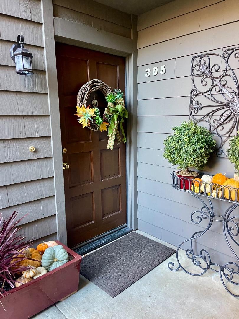 a potted plant sitting on a wooden floor