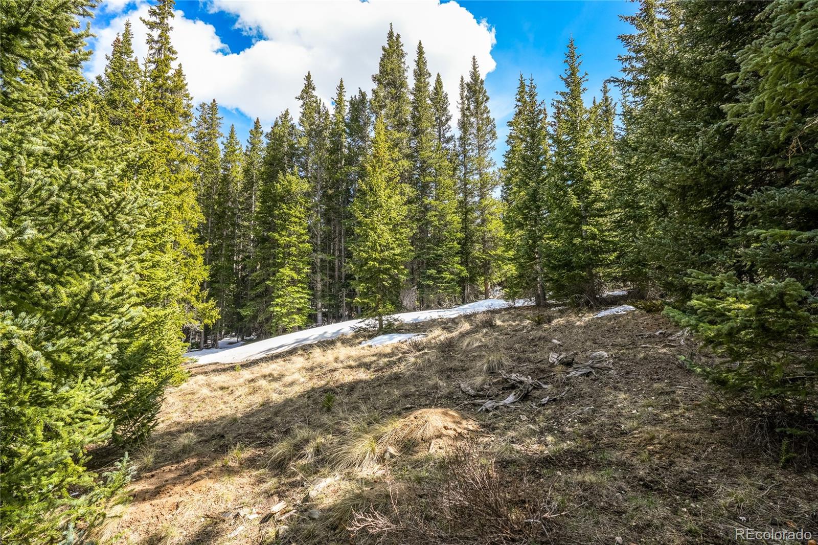 199 Zinc Road Alma, CO 80420 - Photo 29 of 35