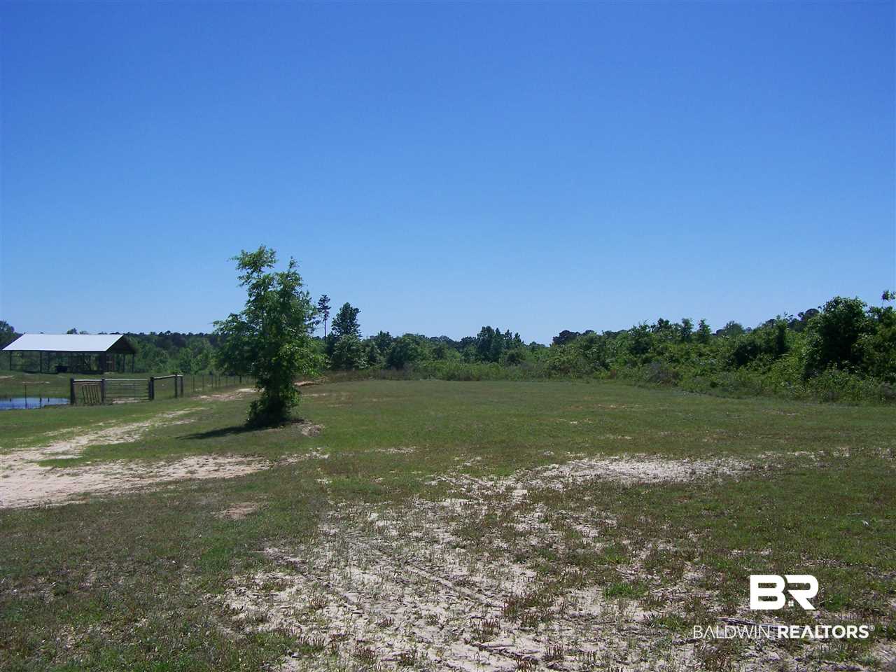3000 Antioch Road Grove Hill, AL 36451 - Photo 21 of 42
