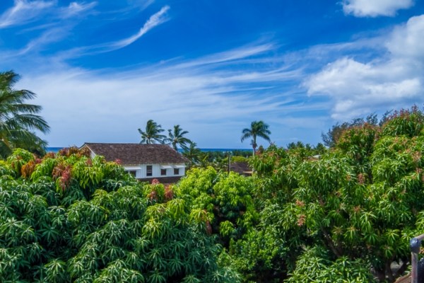 4529 Aukuu Road Kekaha, HI 96752 - Photo 11 of 17 Gallery Image 11