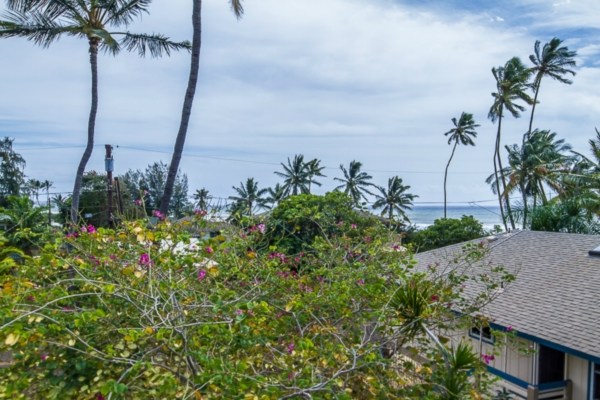 4529 Aukuu Road Kekaha, HI 96752 - Photo 12 of 17 Gallery Image 12