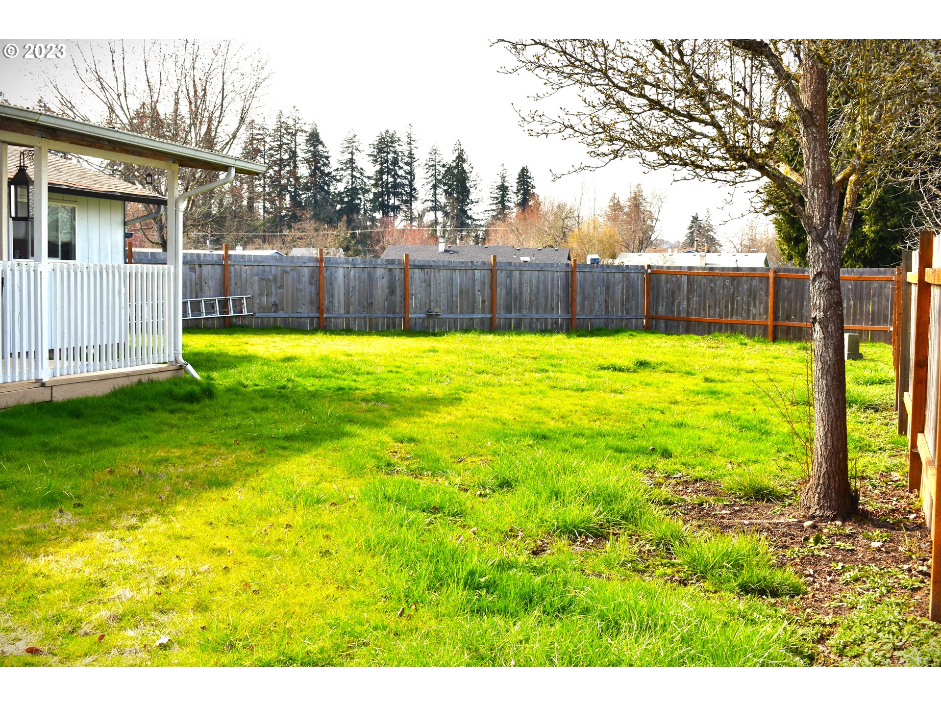 528 South 51st Place Springfield, OR 97478 - Photo 23 of 26 Gallery Image 23
