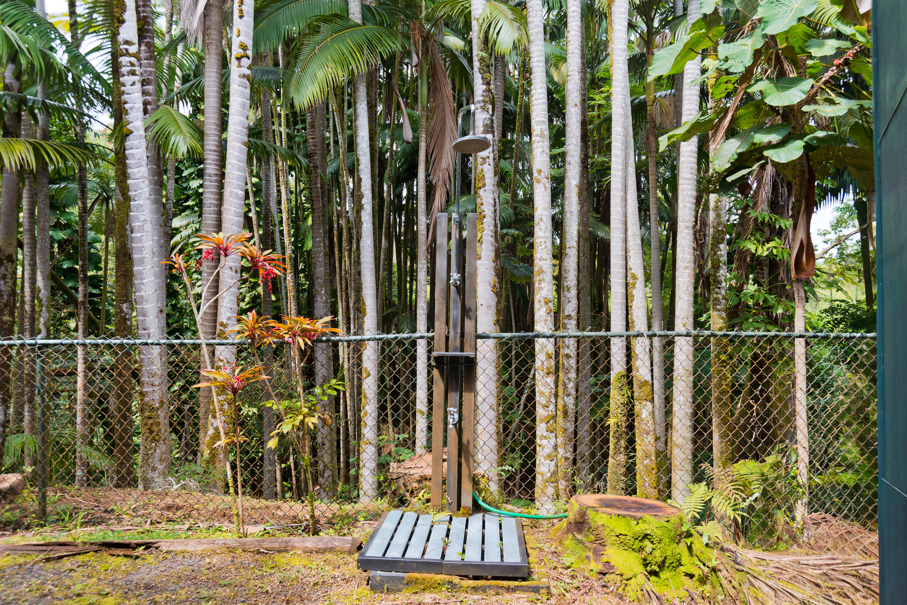 98 Kaiwiki Road Hilo, HI 96720 - Photo 22 of 25