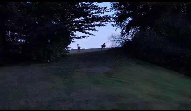 $1,699,900 | 3310 26th Street, Hopkins, MI 49328