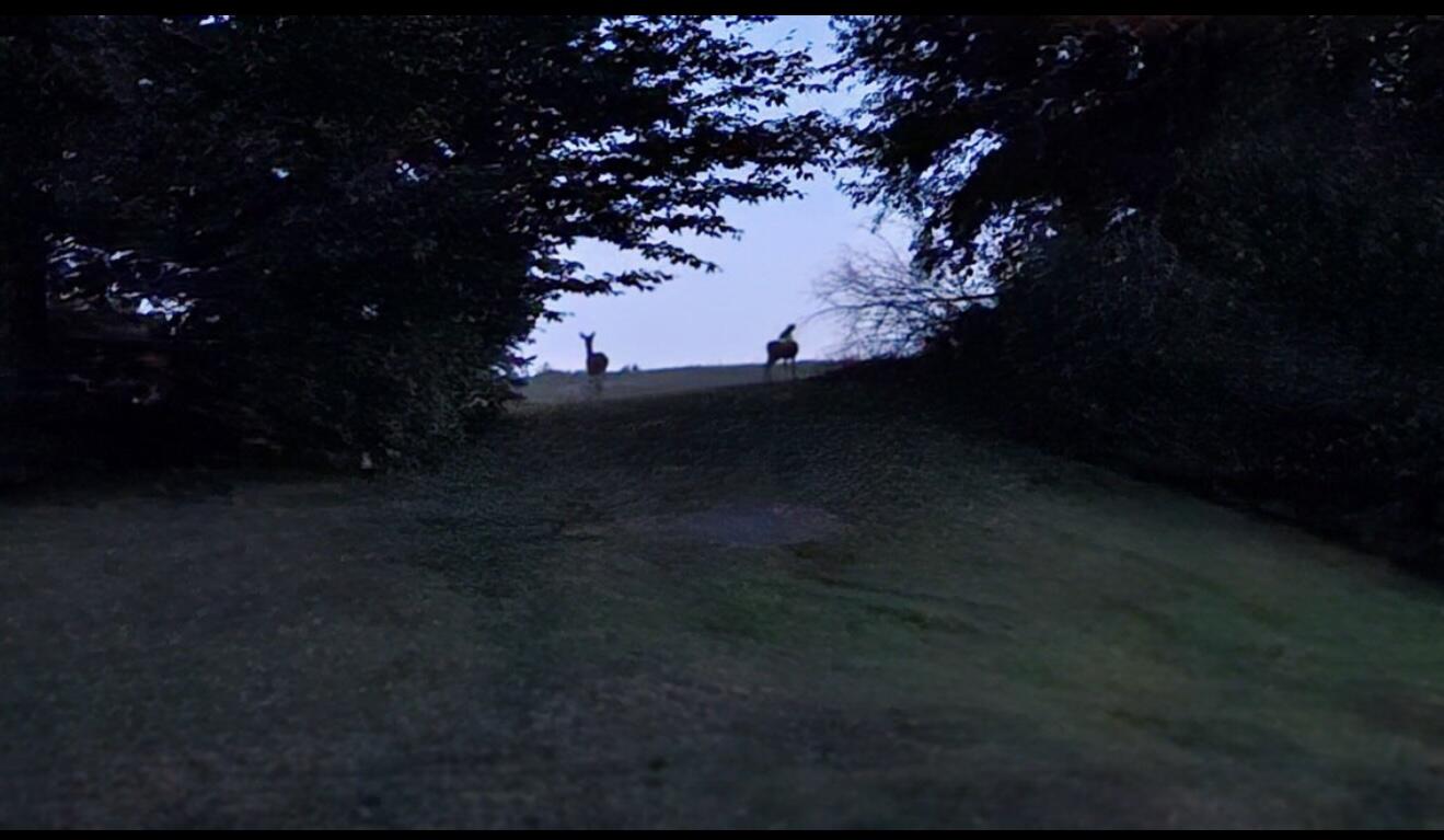 3310 26th Street Hopkins, MI 49328 - Photo 36 of 56 IMG_4361