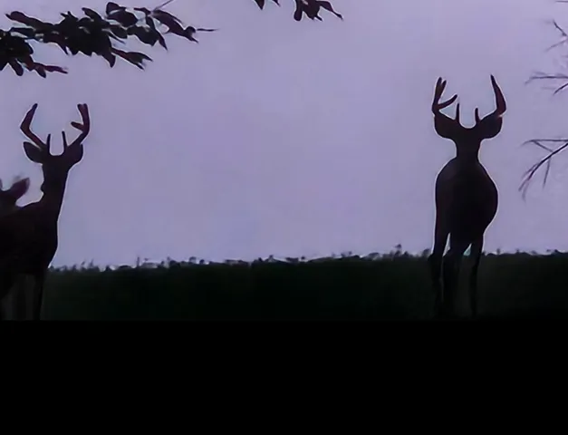 $1,699,900 | 3310 26th Street, Hopkins, MI 49328