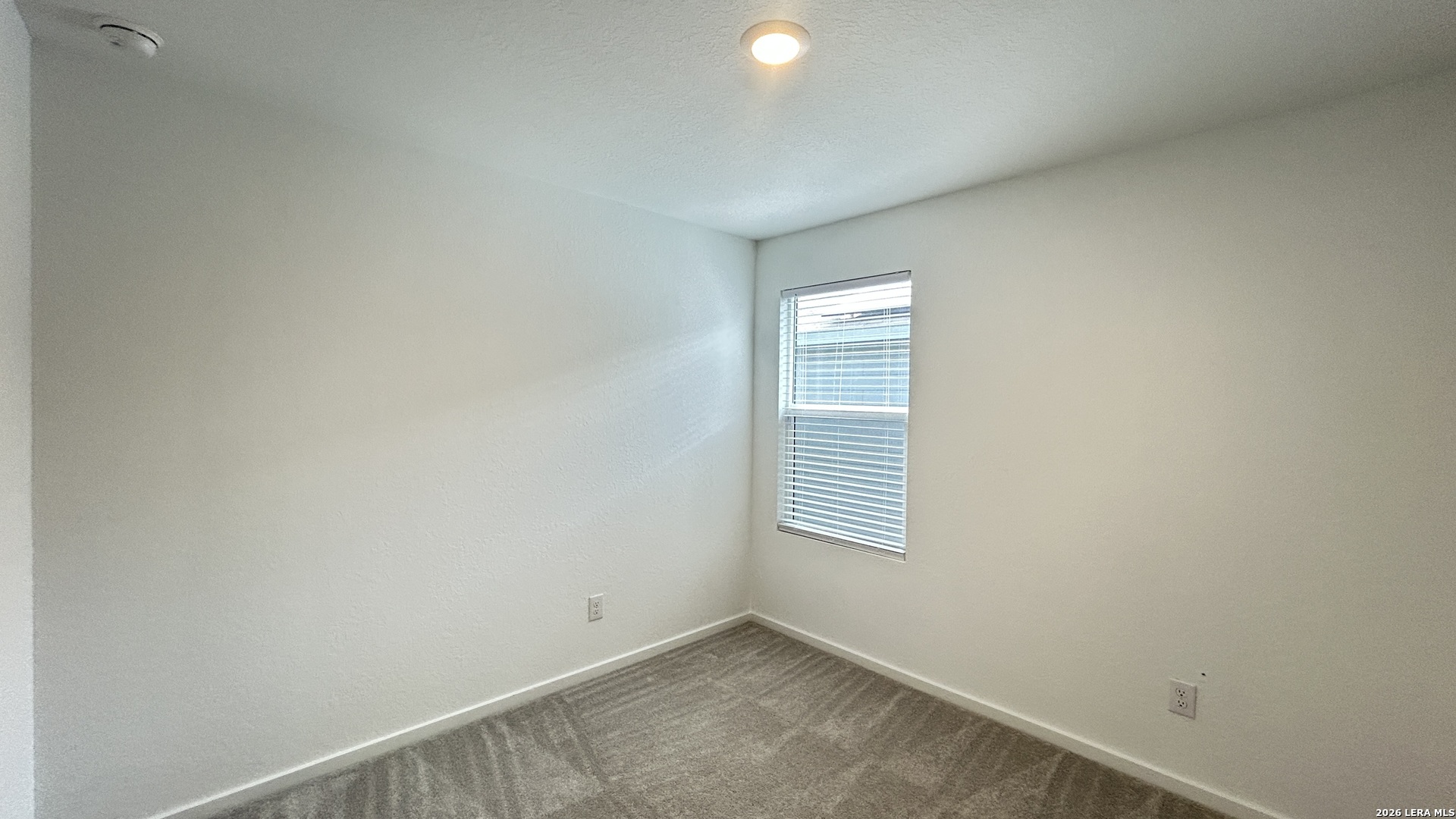 11653 Dog Rose Converse, TX 78109 - Photo 13 of 29