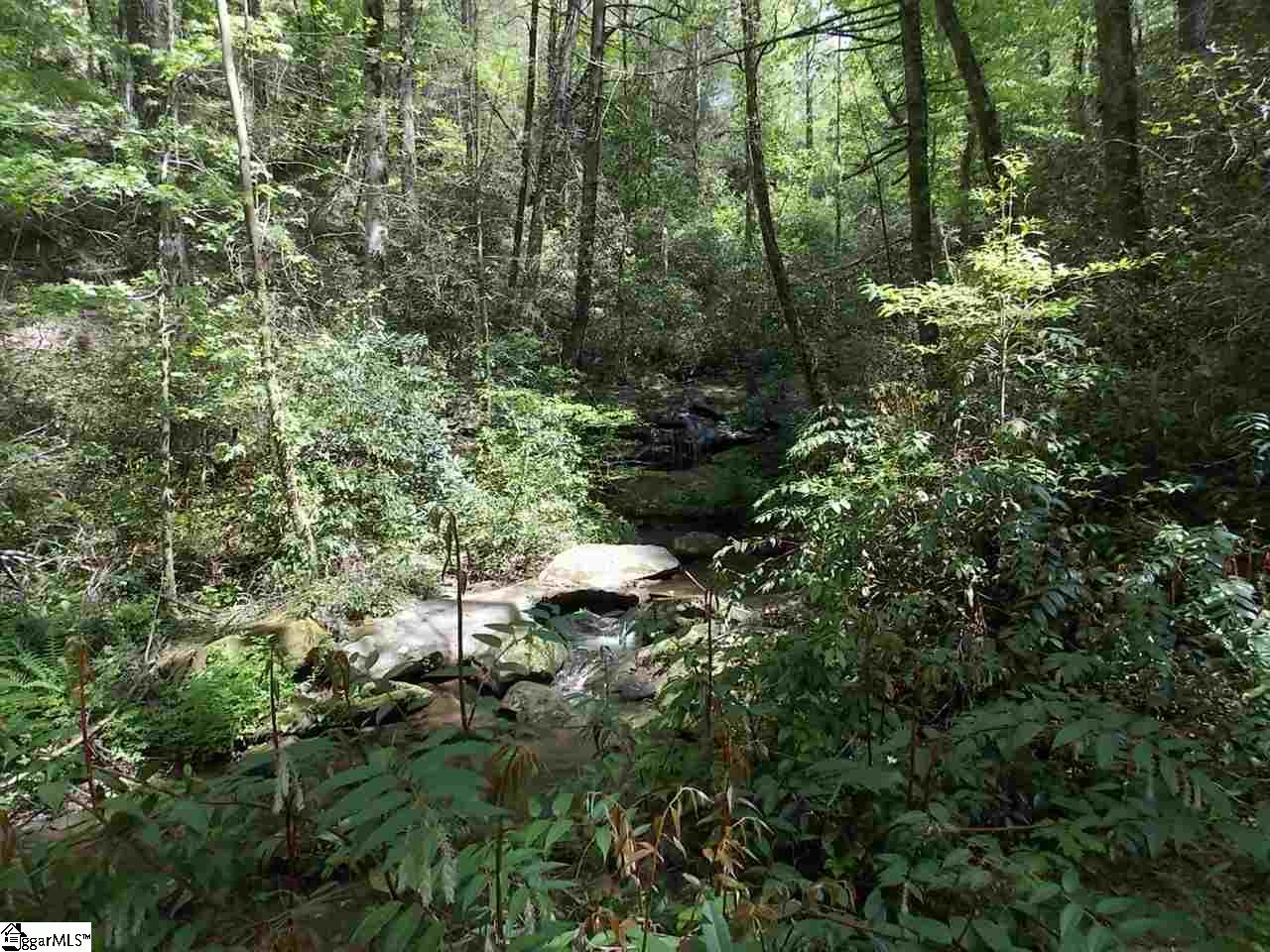 717 Sliding Rock Road Pickens, SC 29671 - Photo 8 of 35