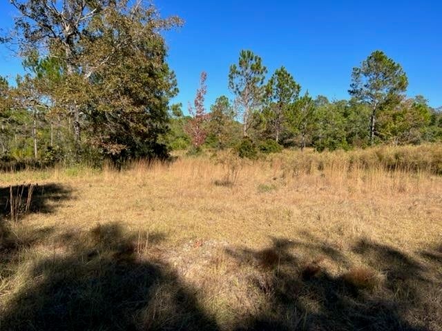 0 Unnamed Road Florala, AL 36442 - Photo 35 of 39 Gallery Image 35