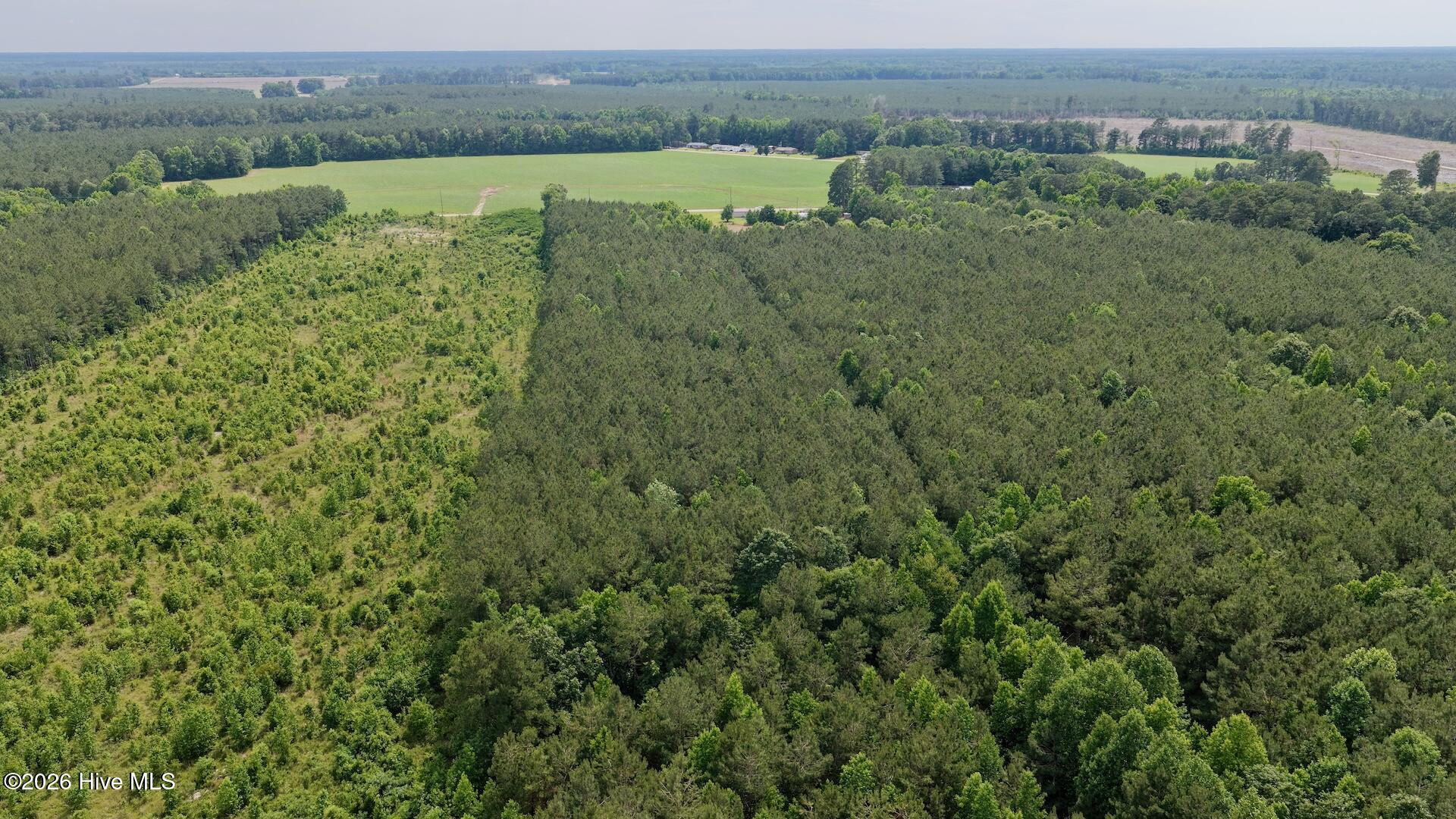 0 Off 1040d Republican Road Windsor, NC 27983 - Photo 22 of 27 8