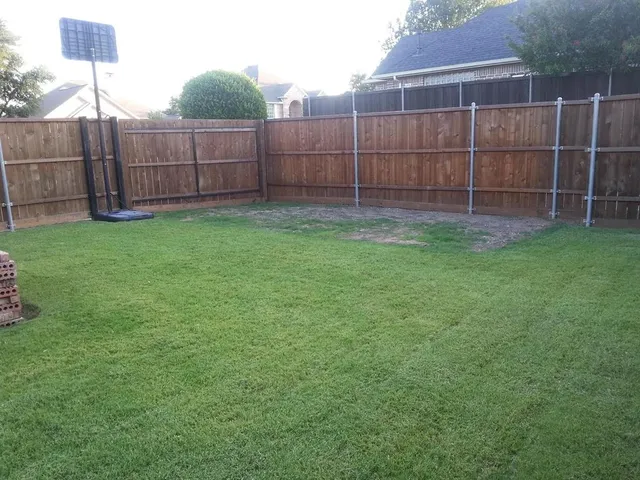 a view of a backyard
