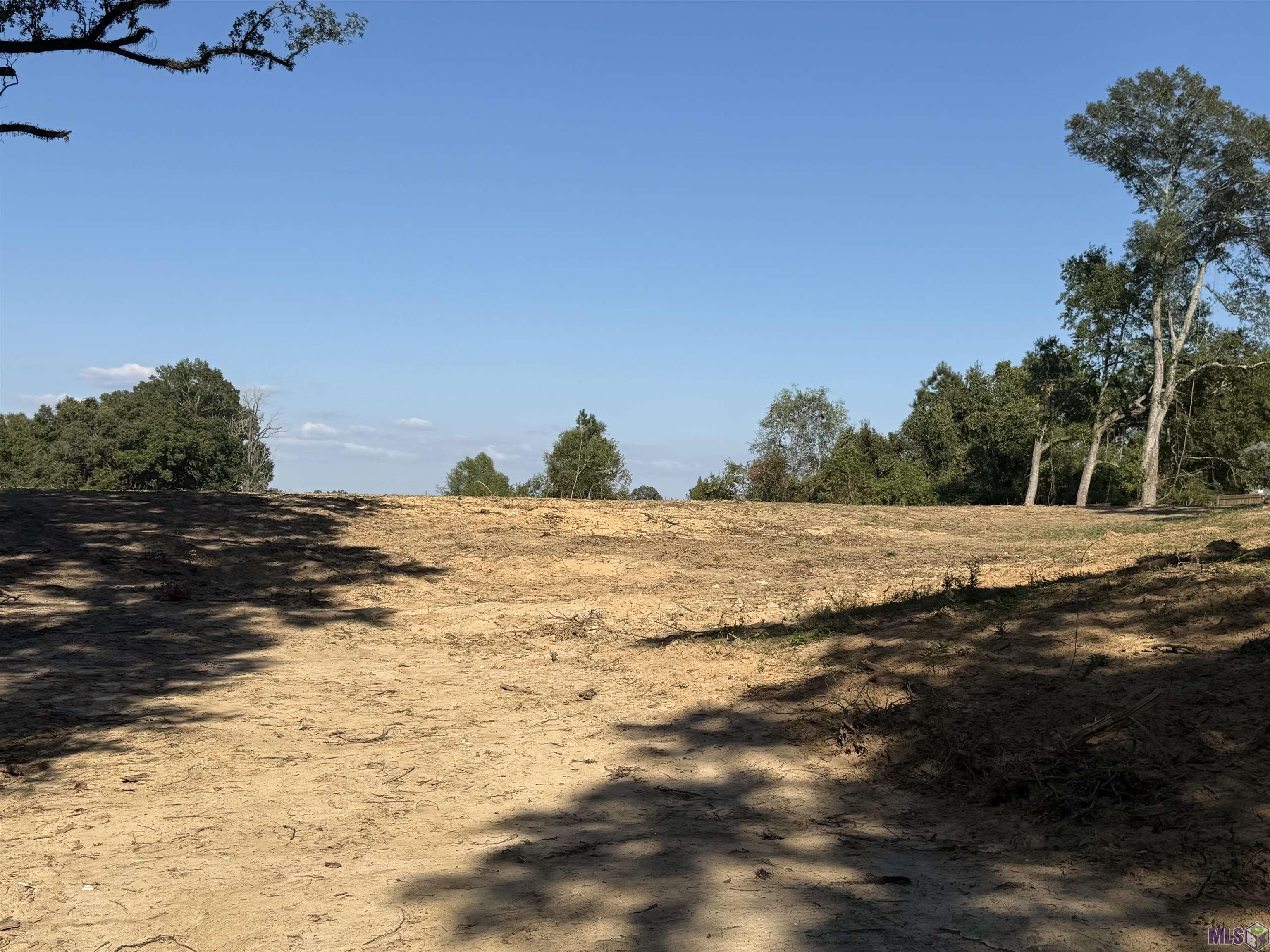 39 North Stately Oaks Drive Baton Rouge, LA 70810 - Photo 3 of 9